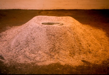 Robert Smithson (1938-1973) retrospective exhibition at Hallwalls, 1977.