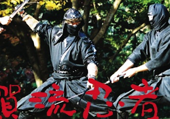 Buffalo Beastmode, Infringement Festival 2007