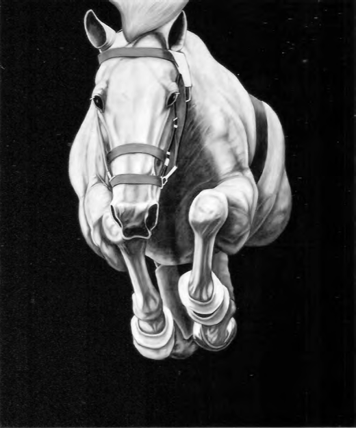 Joseph Piccillo, Untitled, 2017