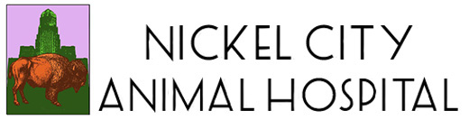 Nickel City Animal Hospital